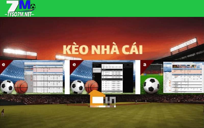 7M SPORT⭐️CẬP NHẬT THÔNG TIN THỂ THAO MỚI NHẤT 18 Tỷ lệ kèo bóng đá 7m hôm nay
