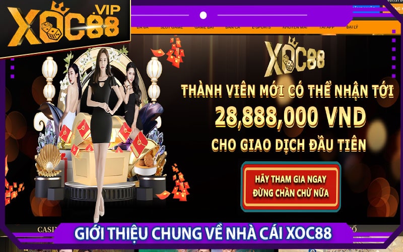 Xoc88 khuyến mãi 888k - Hợp tác đại lý lợi nhuận 69% 7 Giới thiệu chung về nhà cái xoc88