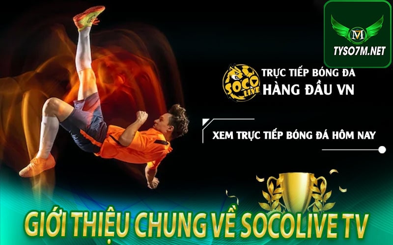 Socolive - Khám phá trang trực tiếp bóng đá hàng đầu Việt Nam 7 Giới thiệu chung về Socolive tv