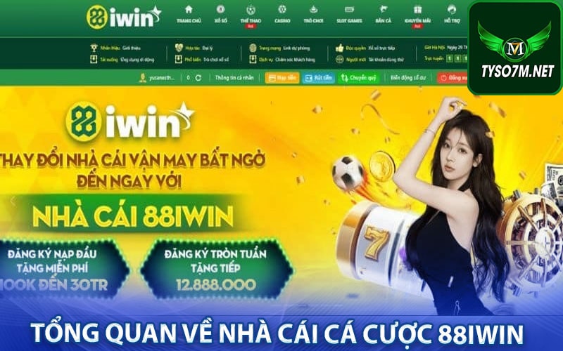 88iwin - Nhà cái【Tặng 99K】miễn phí cho thành viên 7 Tổng quan về nhà cái cá cược 88iwin