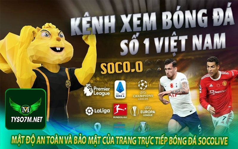 Socolive - Khám phá trang trực tiếp bóng đá hàng đầu Việt Nam 9 Mật độ an toàn và bảo mật của trang trực tiếp bóng đá socolive
