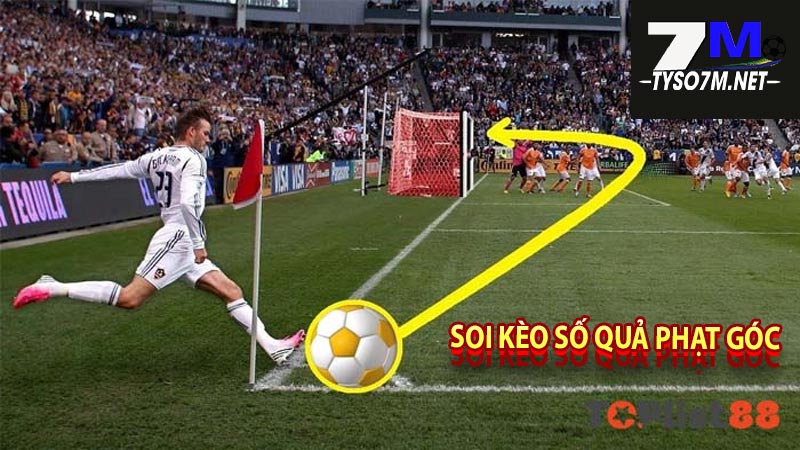 Kèo Phạt Góc Là Gì? Kinh Nghiệm Soi Kèo Phạt Góc Bất Bại 10 Soi kèo số quả phạt góc