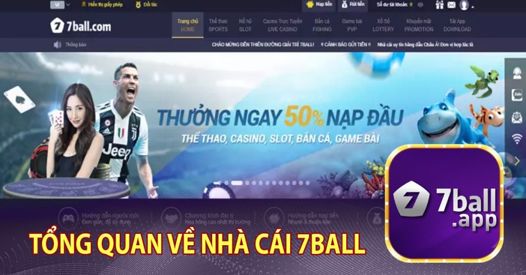 7Ball - Nhà cái cá cược trực tuyến hấp dẫn nhất 2023 8 Tổng quan về nhà cái 7Ball