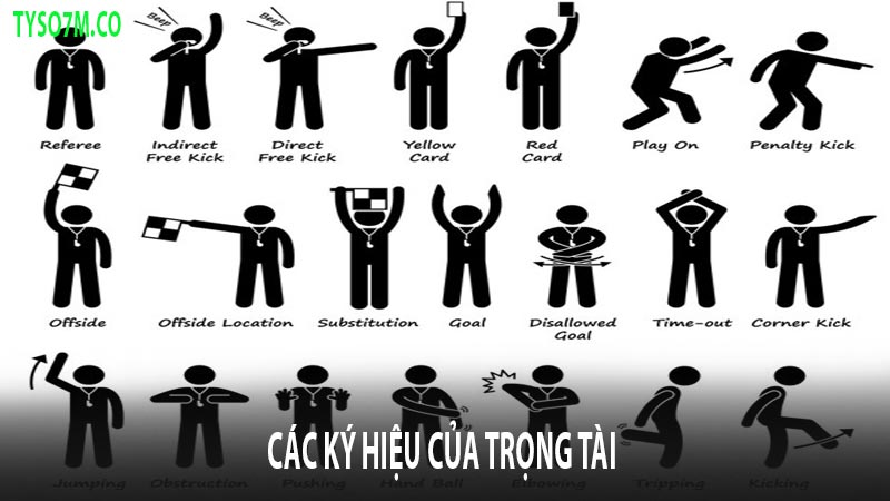Trọng tài trong bóng đá: Quyền hạn và nhiệm vụ 11 Các ký hiệu của trọng tài trong một trận đấu bóng đá